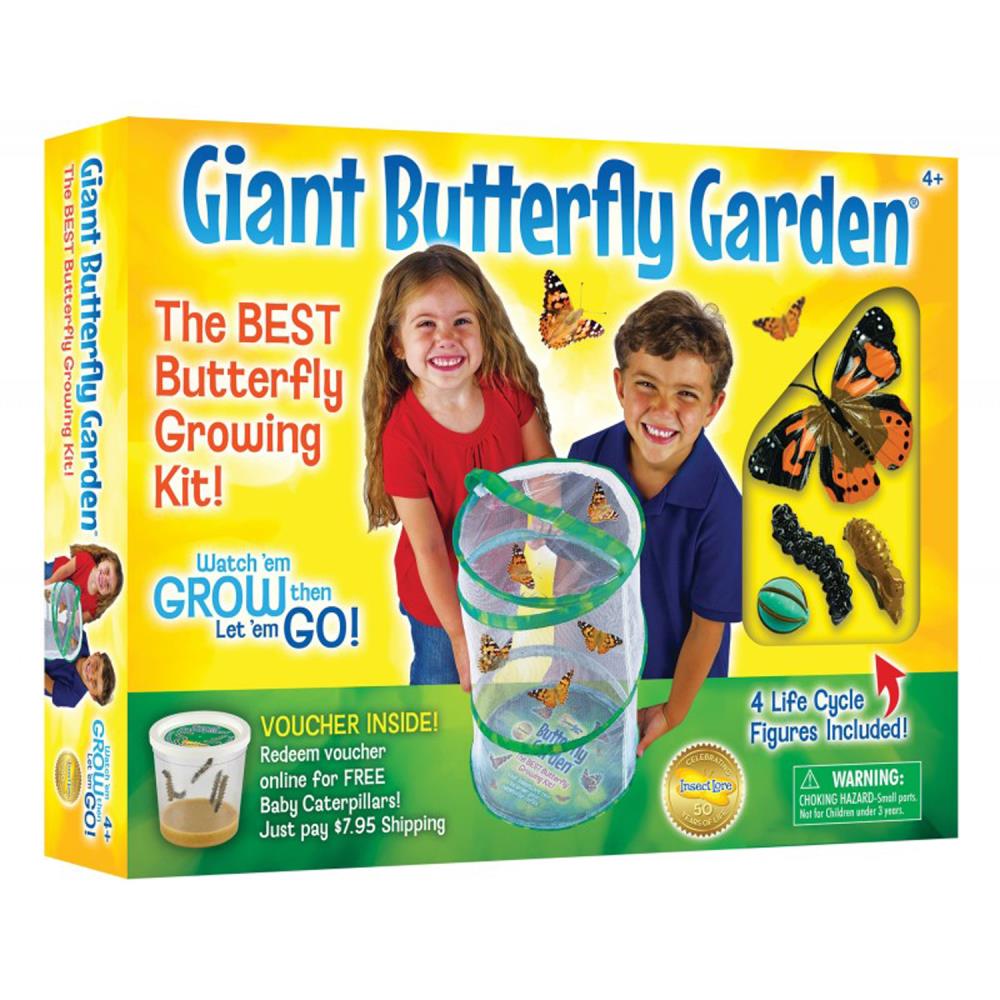 Lowe’s Kids Butterfly Biome Free Stuff App